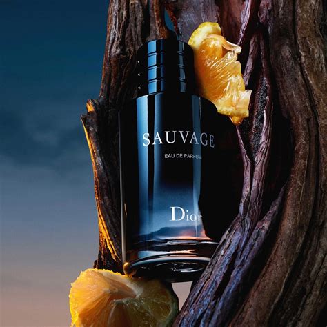 sauvage dior fragrance notes|Dior Sauvage edt fragrantica.